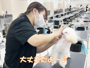 毎日の歯みがきで健康を守ります☆